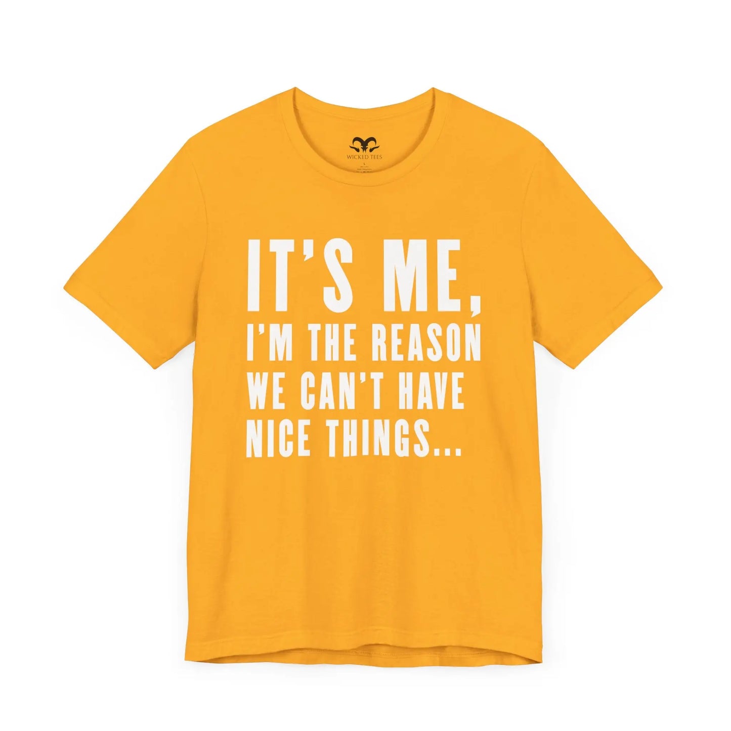 Can't Have Nice Things Men's Short Sleeve Tee - Wicked Tees