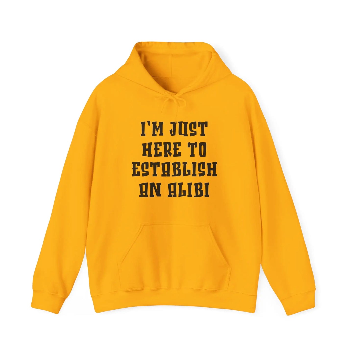 Establish An Alibi Men's Hooded Sweatshirt - Wicked Tees