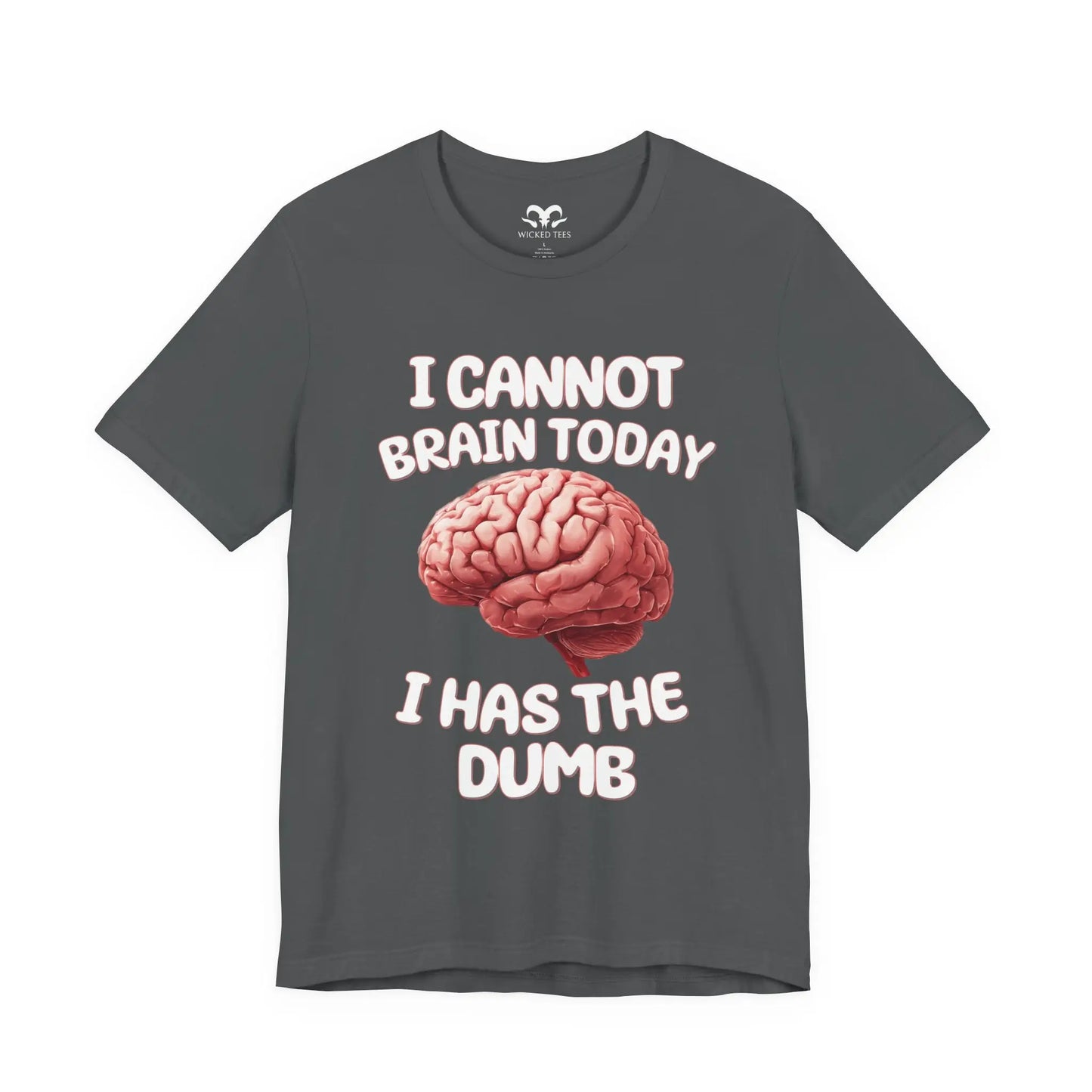 I Has The Dumb Men's Tee - Wicked Tees