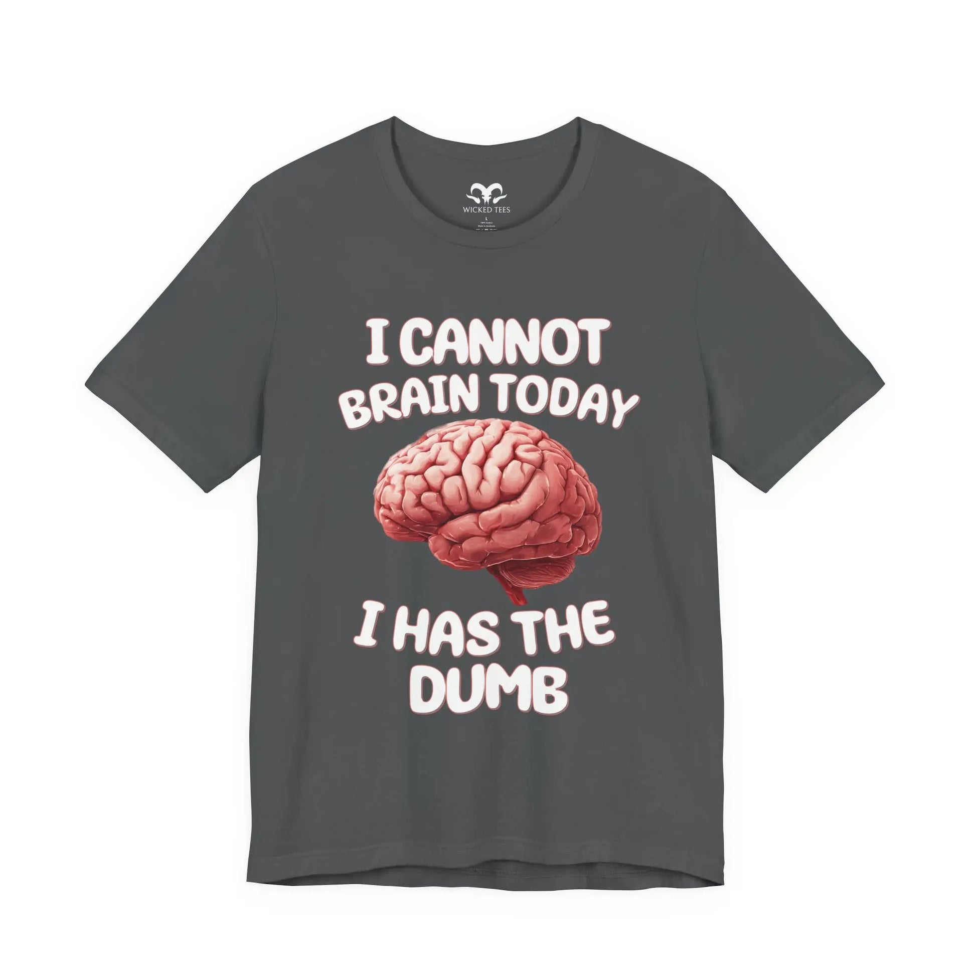 I Has The Dumb Men's Tee - Wicked Tees