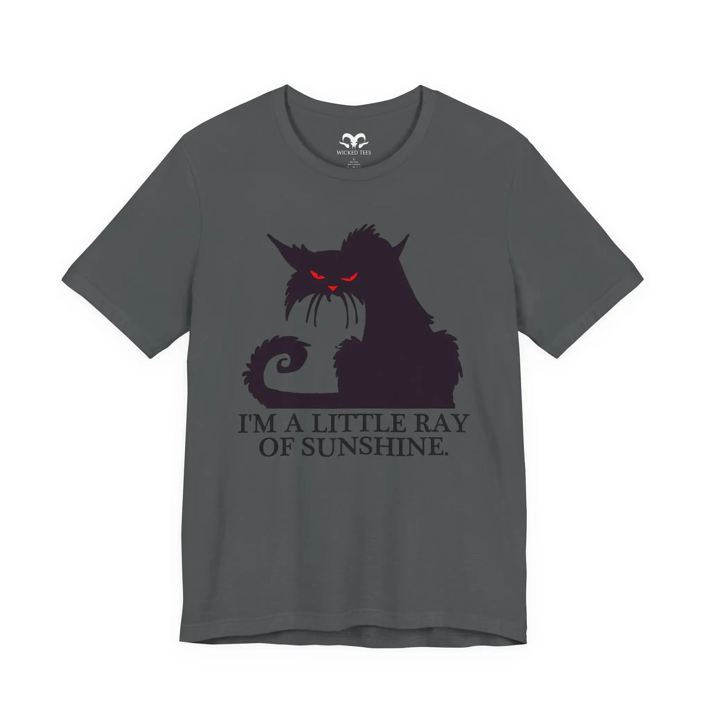 I'm A Little Ray Of Sunshine Men's Tee - Wicked Tees