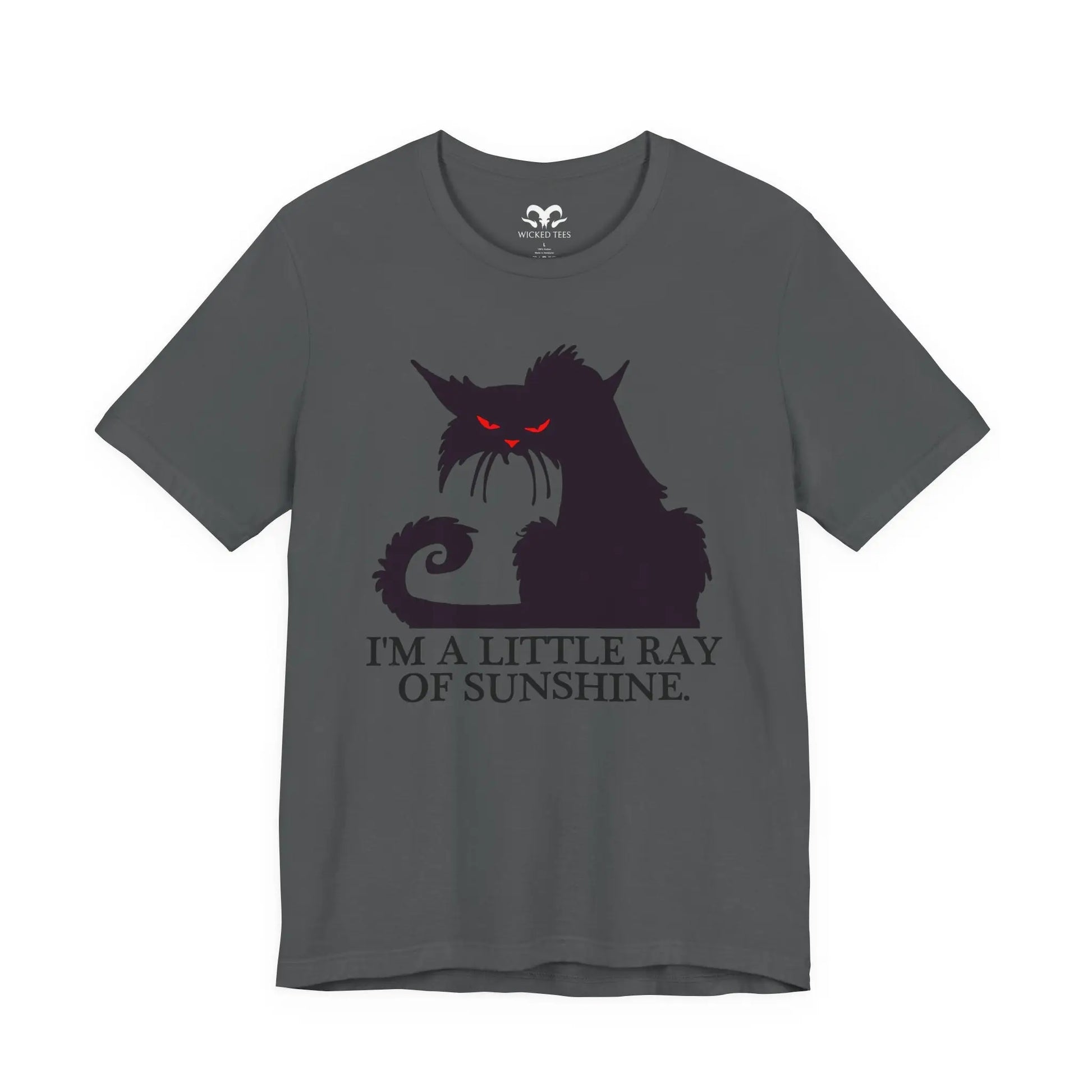 I'm A Little Ray Of Sunshine Men's Tee - Wicked Tees