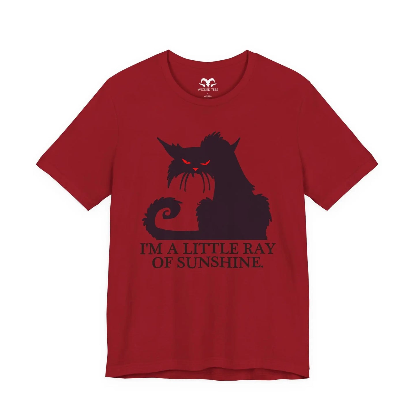 I'm A Little Ray Of Sunshine Men's Tee - Wicked Tees