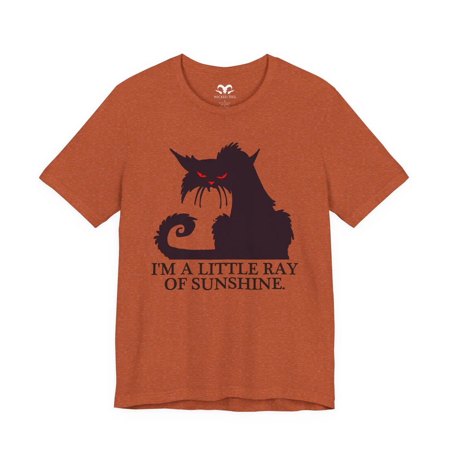 I'm A Little Ray Of Sunshine Men's Tee - Wicked Tees