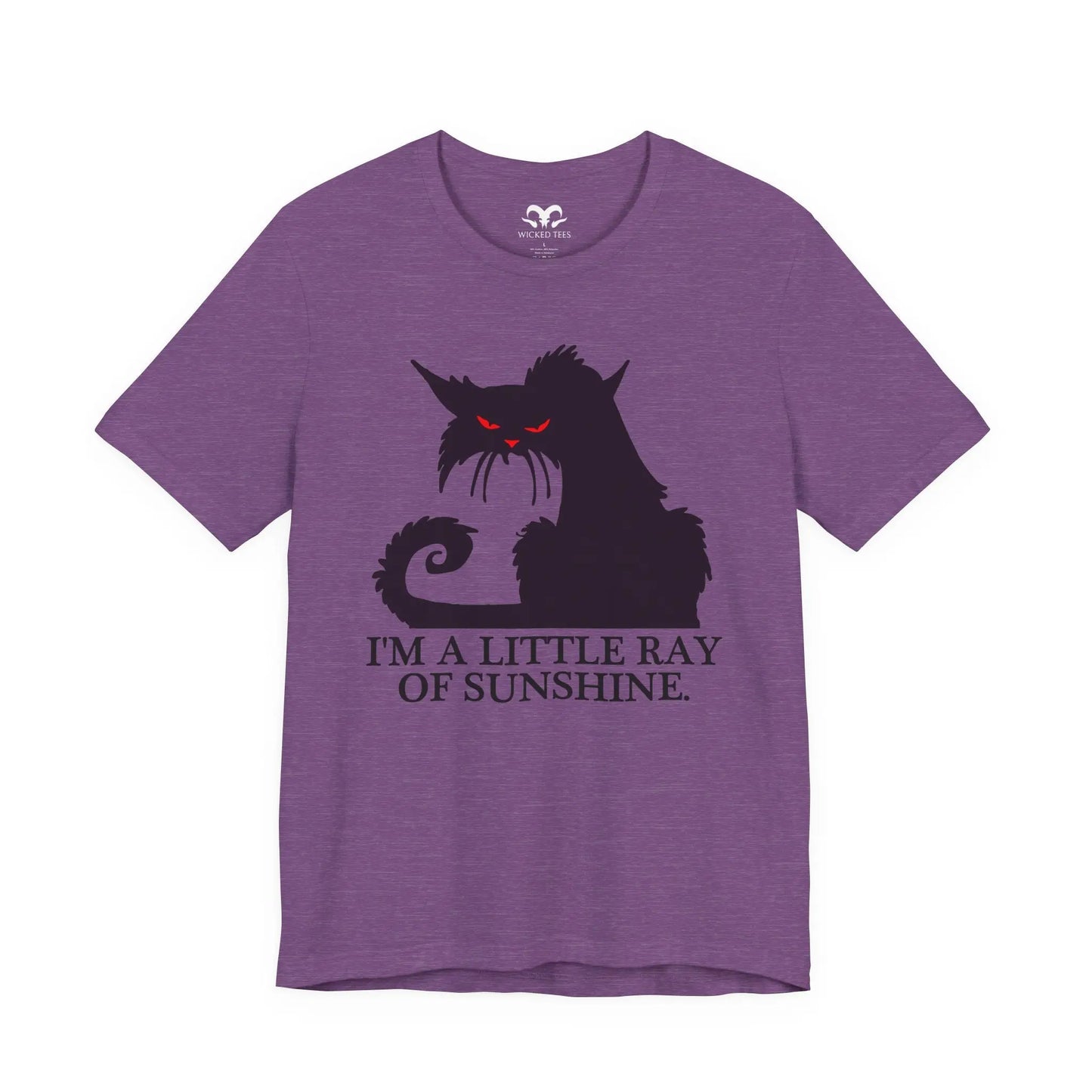 I'm A Little Ray Of Sunshine Men's Tee - Wicked Tees