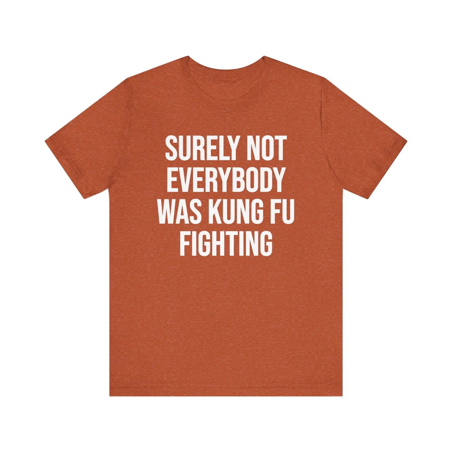 Kung Fu Fighting Women's Short Sleeve Tee - Wicked Tees