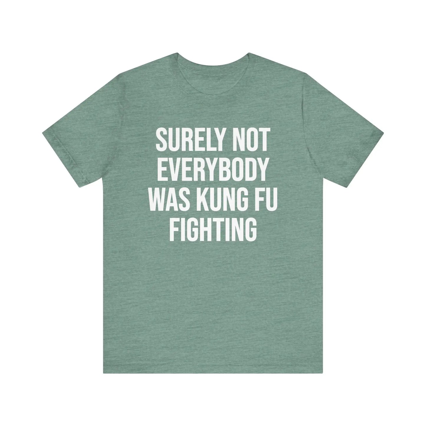 Kung Fu Fighting Women's Short Sleeve Tee - Wicked Tees