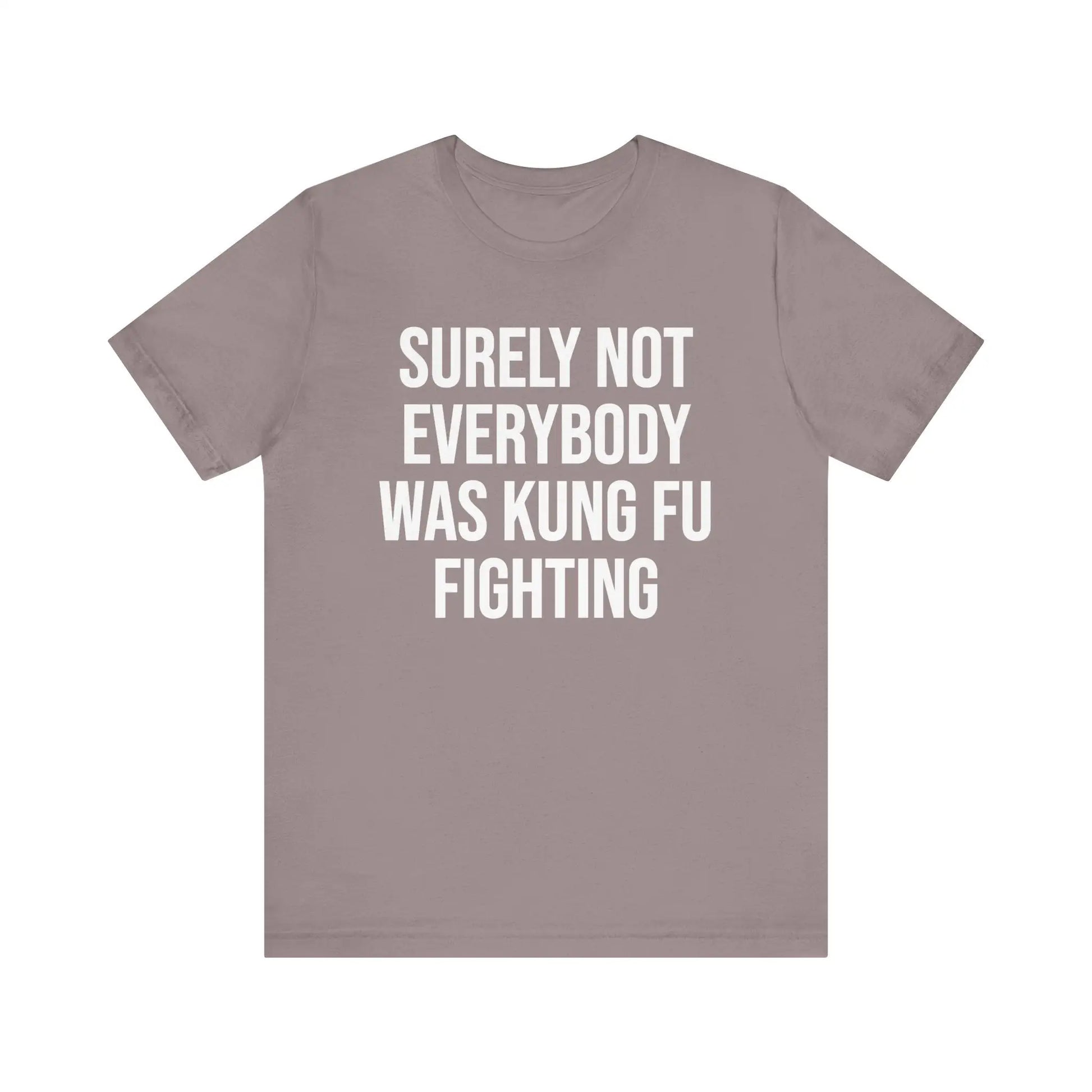 Kung Fu Fighting Women's Short Sleeve Tee - Wicked Tees