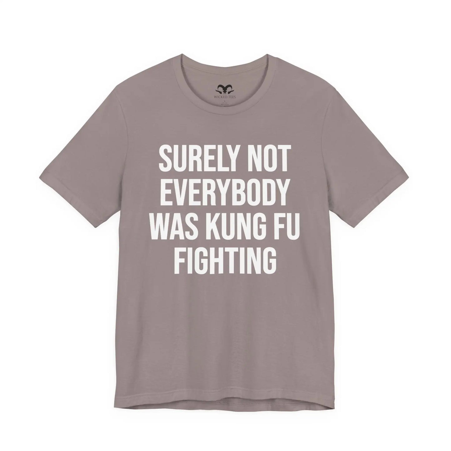 Kung Fu Fighting Women's Short Sleeve Tee - Wicked Tees