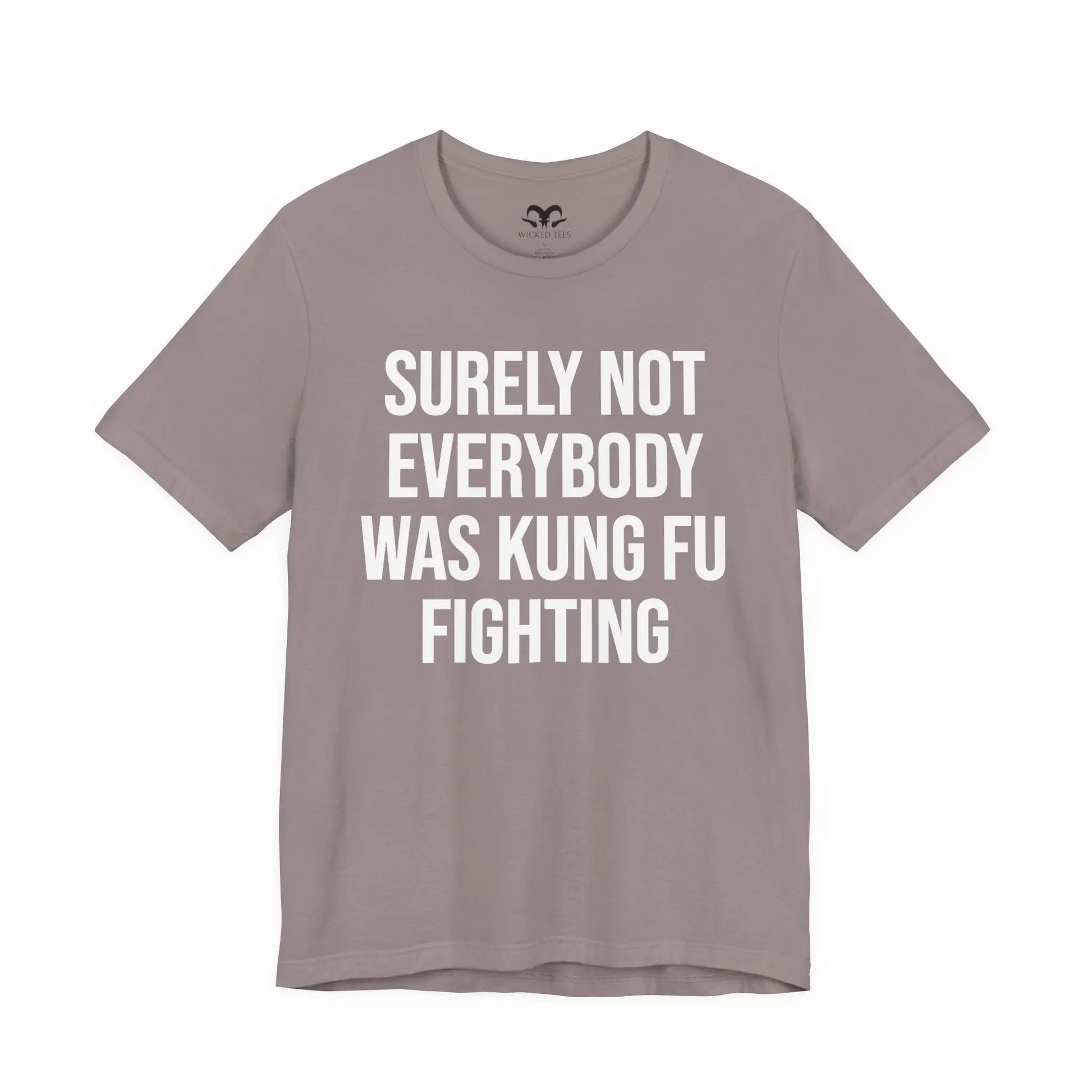 Kung Fu Fighting Women's Short Sleeve Tee - Wicked Tees