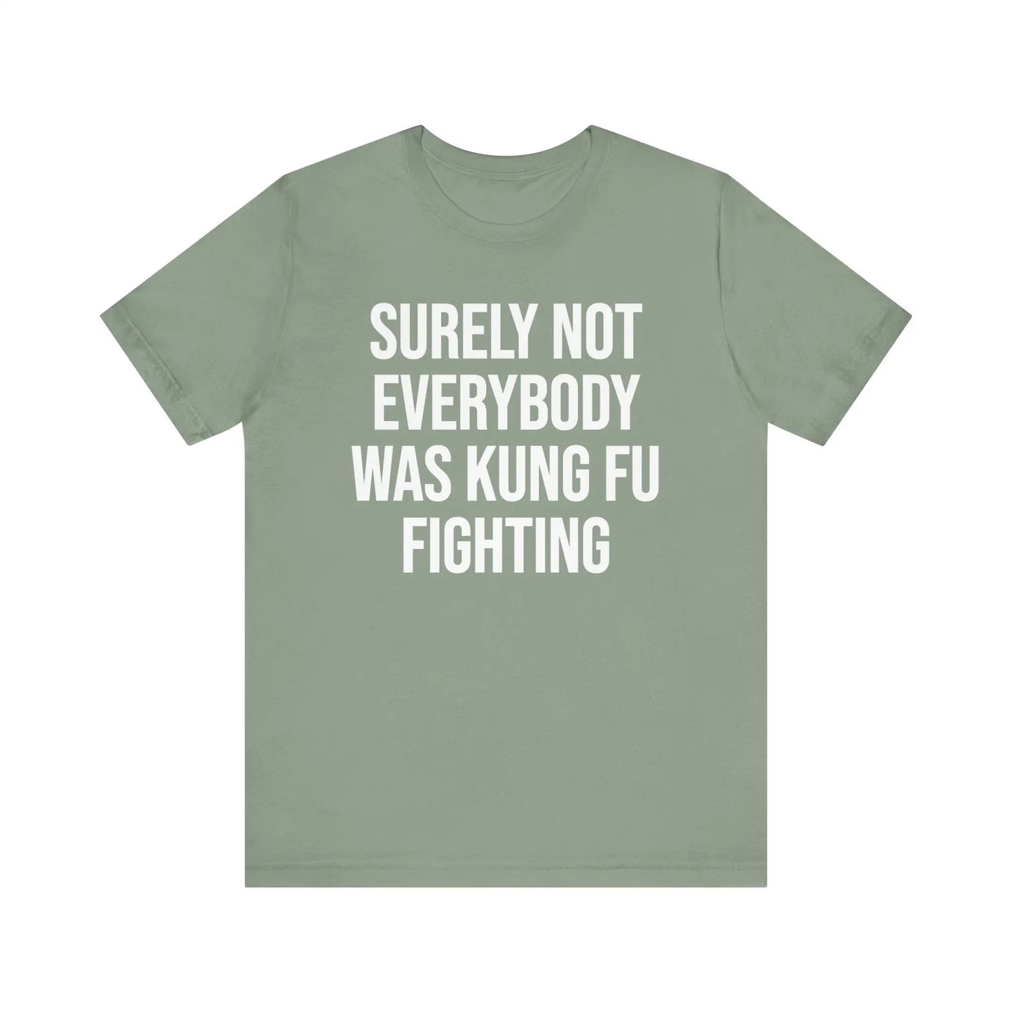 Kung Fu Fighting Women's Short Sleeve Tee - Wicked Tees